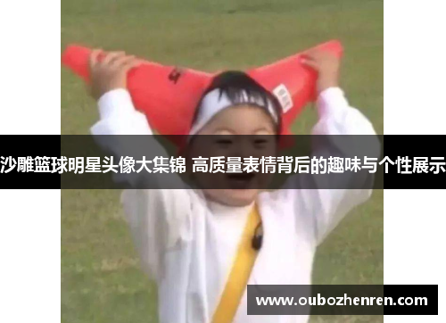 沙雕篮球明星头像大集锦 高质量表情背后的趣味与个性展示